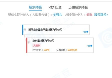 劉強東的再出發 退出云計算公司，押注無人機與室內裝修新賽道